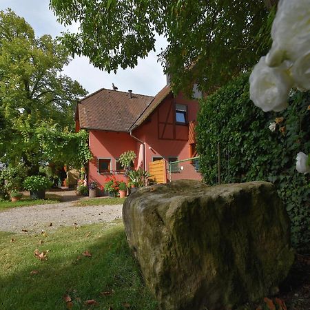 Countryside Apartment With Garden Schallstadt Exteriör bild