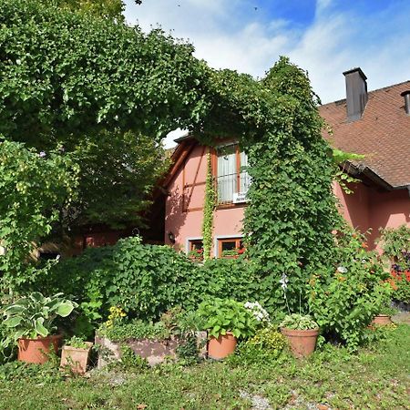 Countryside Apartment With Garden Schallstadt Exteriör bild