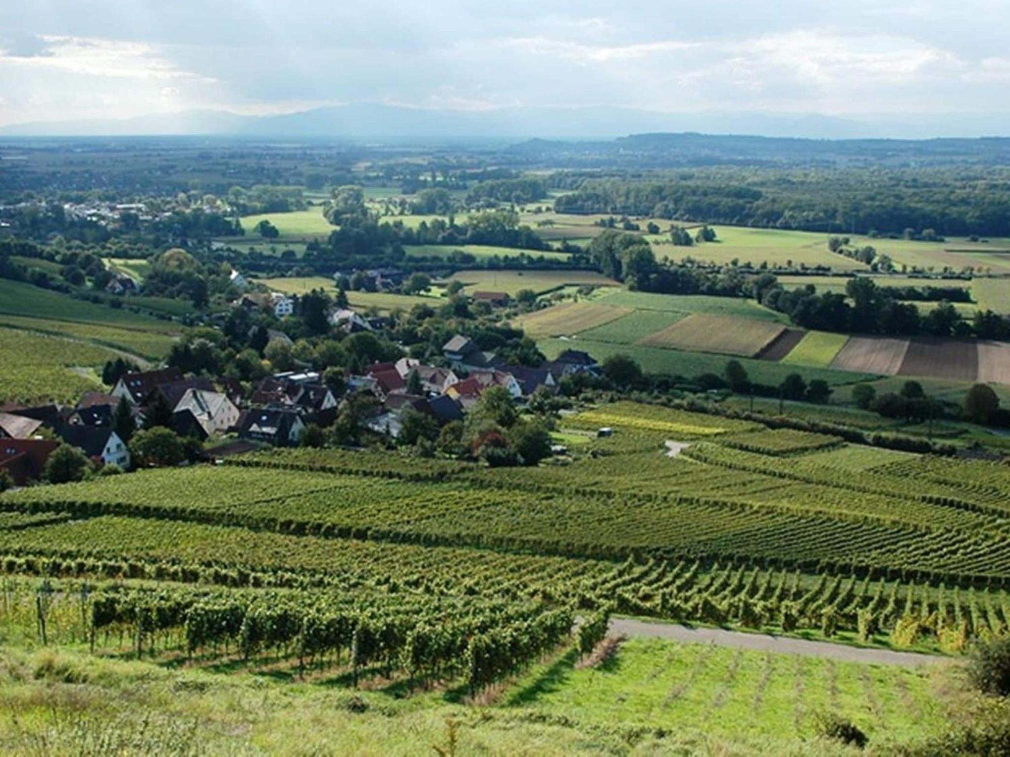 Countryside Apartment With Garden Schallstadt Exteriör bild