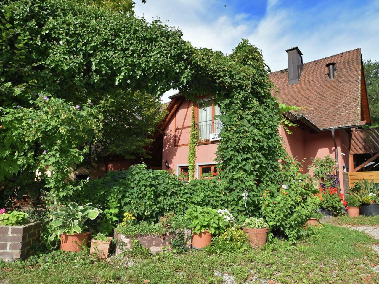 Countryside Apartment With Garden Schallstadt Exteriör bild